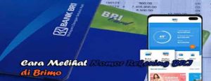 Bagaimana Cara Melihat Nomor Rekening di Brimo BRI