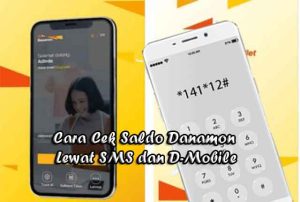 Cara Cek Saldo Danamon Lewat SMS dan D-Mobile Secara Online