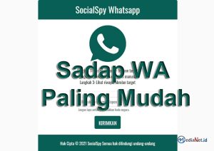 SocialSpy Whatsapp Sadap WA Paling Mudah
