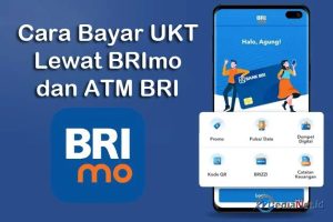 Bagaimana Cara Bayar UKT Lewat Brimo dan ATM BRI