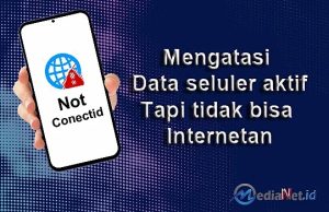 Memperbaiki Data Seluler Aktif Tapi Tidak Bisa Internetan