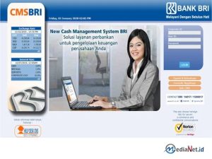 BRI CMS : Untuk Apa? bagaimana Menggunakannya