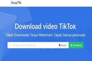 SnepTik : Download Video Tanpa Watermark Paling Cepat