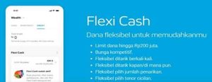 Pinjaman Jenius Flexi Cash BTPN