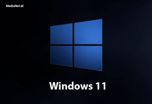 Windows 11 Operating Syistem (OS) Upgrade
